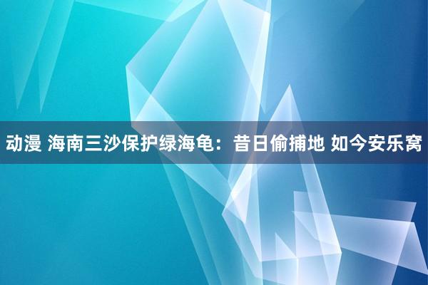 动漫 海南三沙保护绿海龟：昔日偷捕地 如今安乐窝