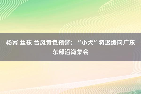 杨幂 丝袜 台风黄色预警：“小犬”将迟缓向广东东部沿海集会