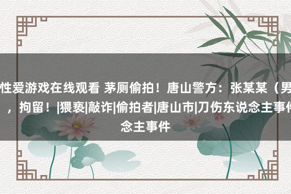 性爱游戏在线观看 茅厕偷拍！唐山警方：张某某（男），拘留！|猥亵|敲诈|偷拍者|唐山市|刀伤东说念主事件