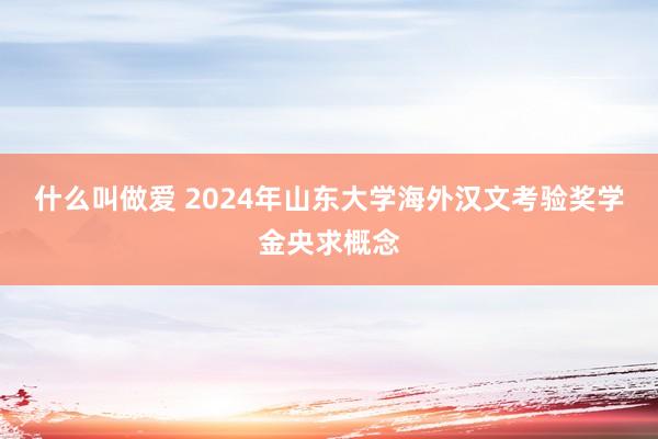 什么叫做爱 2024年山东大学海外汉文考验奖学金央求概念