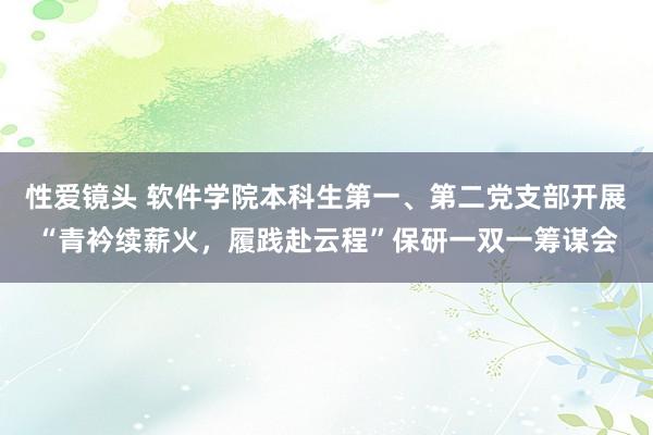 性爱镜头 软件学院本科生第一、第二党支部开展“青衿续薪火，履践赴云程”保研一双一筹谋会