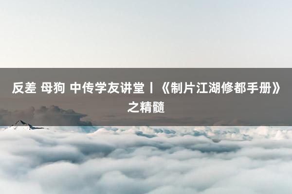 反差 母狗 中传学友讲堂丨《制片江湖修都手册》之精髓